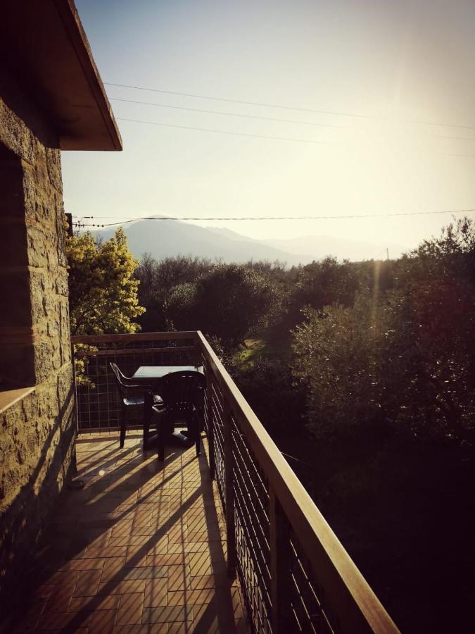 Apartamento Les Pierres De La Massane - Vue Sur Les Alberes