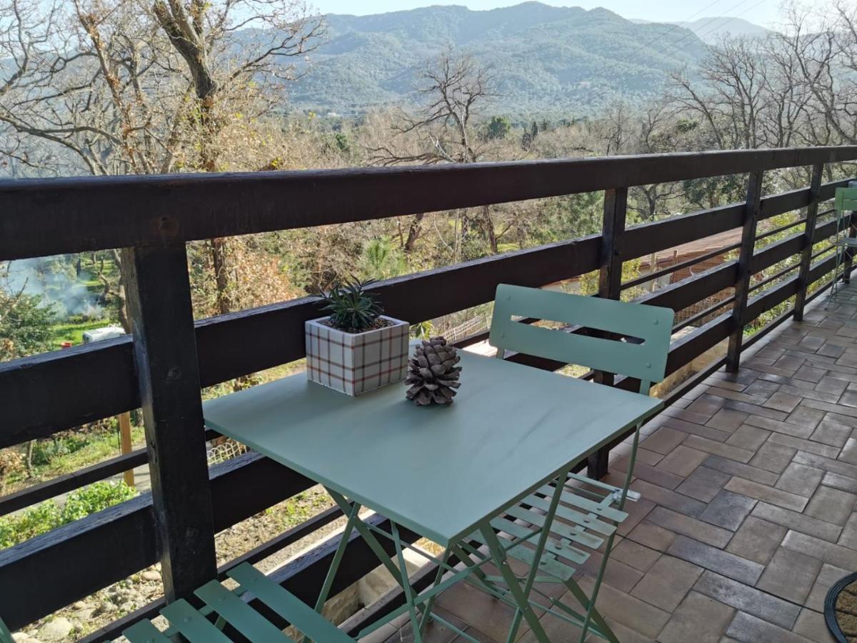 Les Pierres De La Massane - Vue Sur Les Alberes Apartment